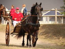 IMG_0719_web